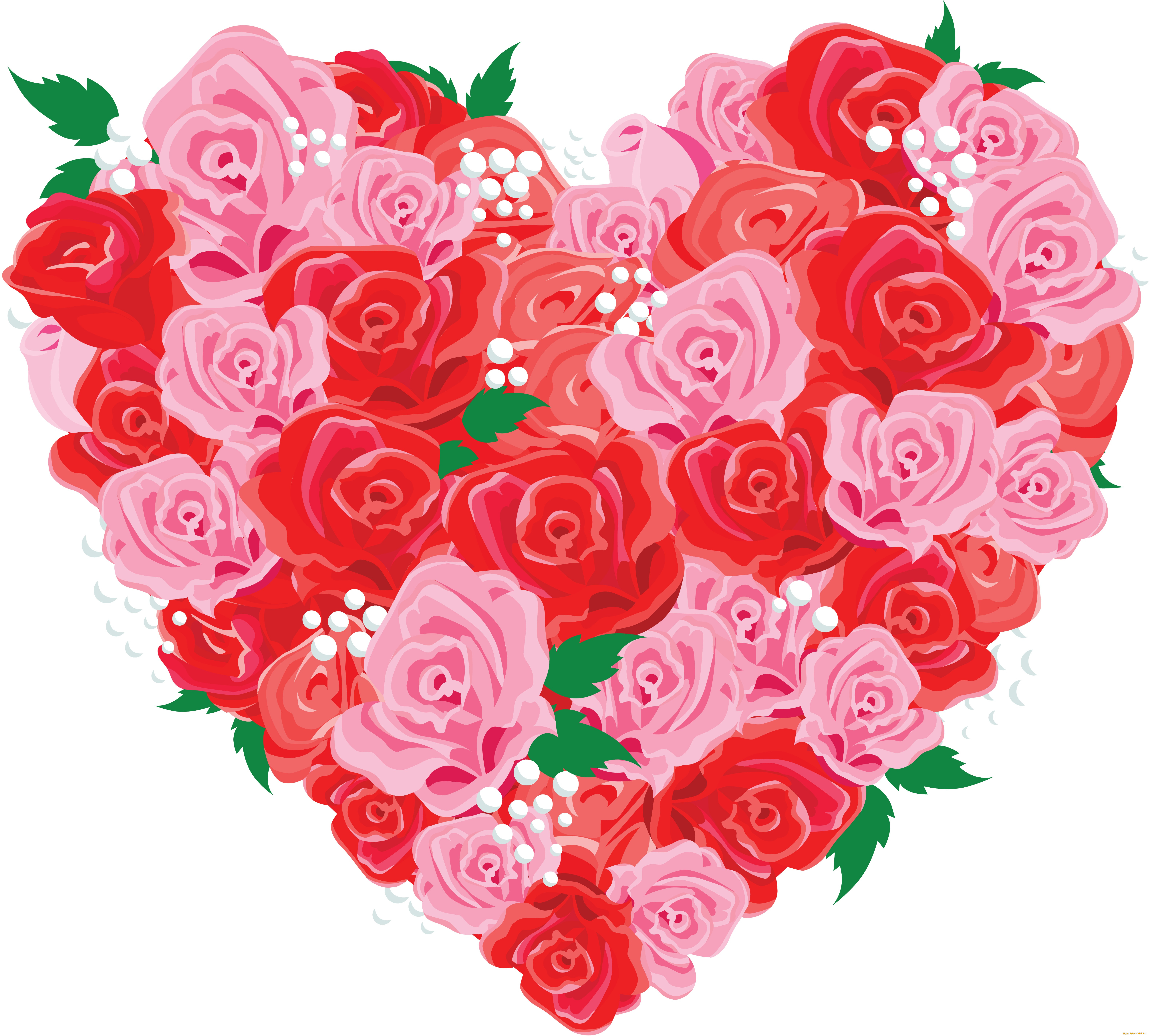  ,  , flowers, , 